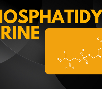 The Science behind Phosphatidylserine and its Role in Brain Health