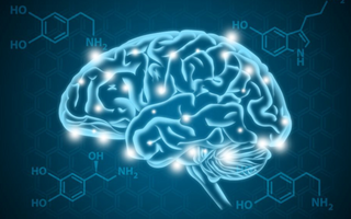 Top 4 Nootropics to increase dopamine! 2023 Optimal Selection
