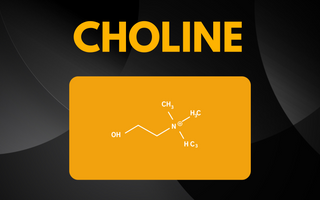 Unlocking the Potential of Choline: How to Boost Brain Health and Function