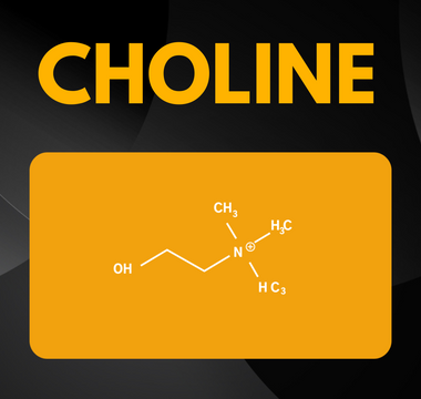 Unlocking the Potential of Choline: How to Boost Brain Health and Function